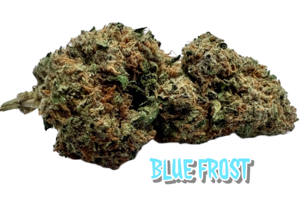 Blue Frost
