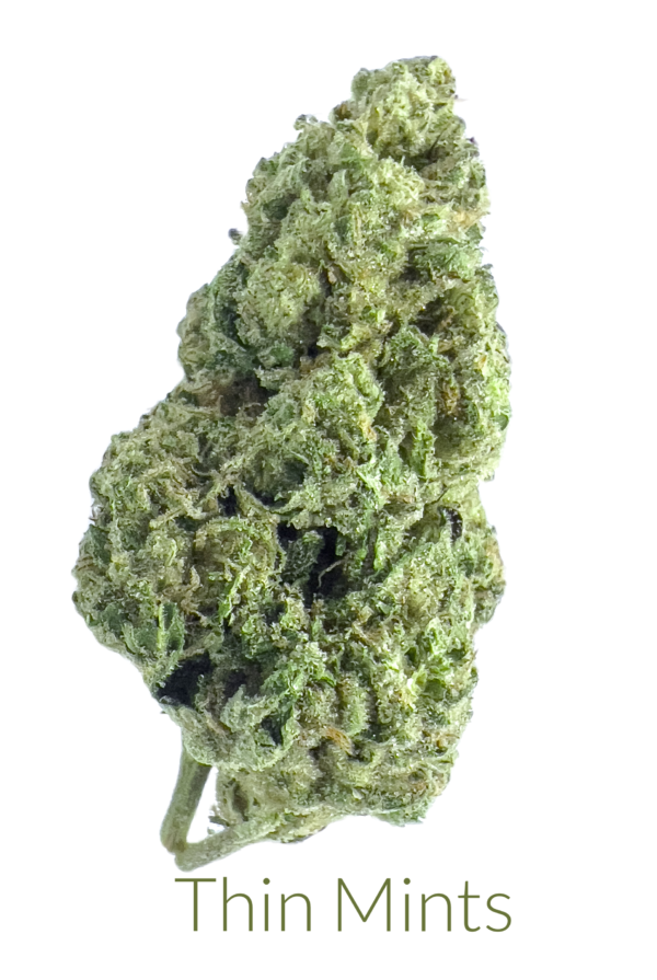 Thin Mint