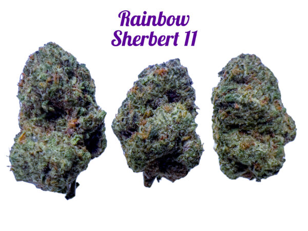 Rainbow Sherbert 11