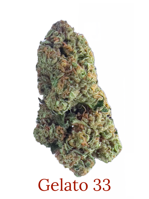 Gelato 33