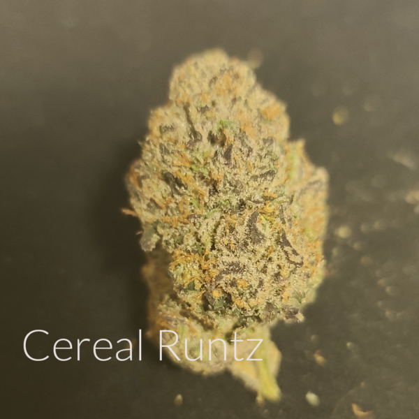 Cereal Runtz - Cali Connect
