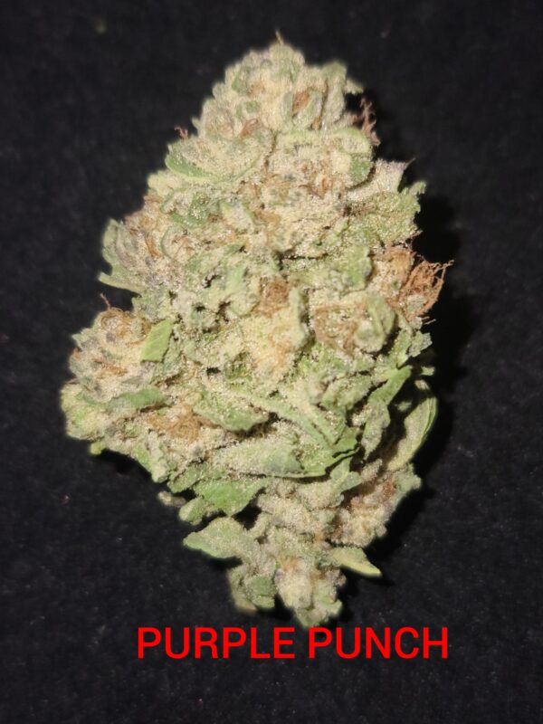 PURPLE PUNCH