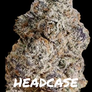 LIFESAVERZ x ICECREAM CAKE(HEADCASE)