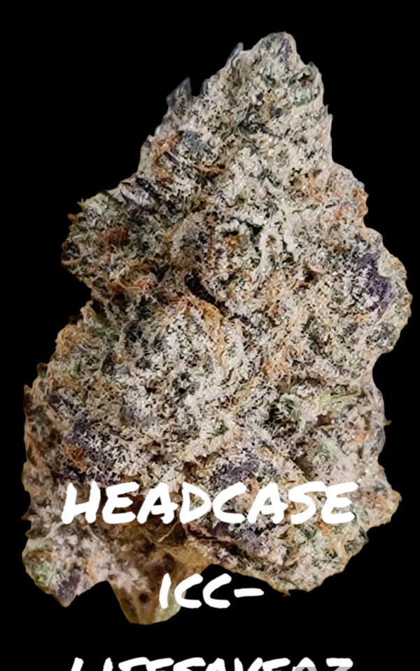 LIFESAVERZ x ICECREAM CAKE(HEADCASE)