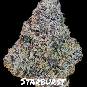 STARBURST RUNTZ 11 (RUNTZ STARBURST 11)