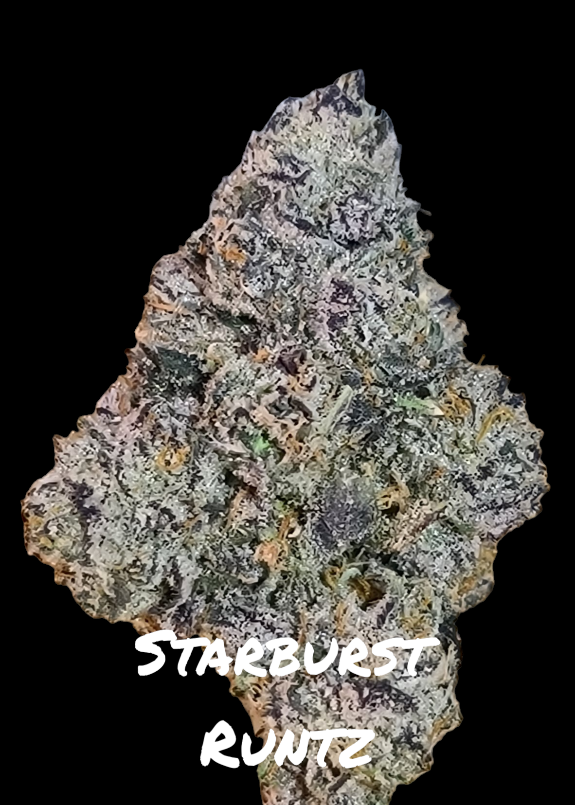 STARBURST RUNTZ 11 (RUNTZ STARBURST 11)