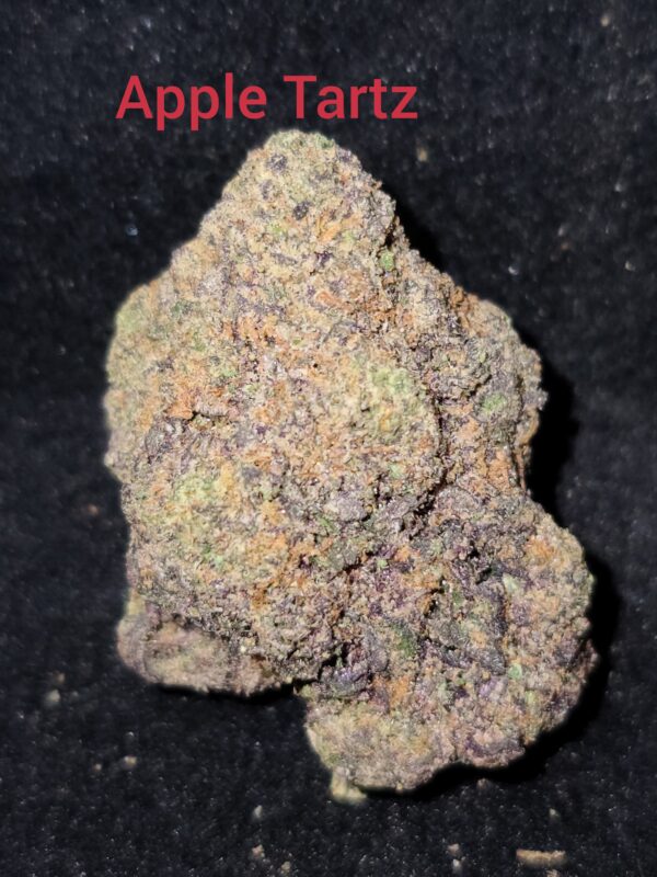 APPLE TARTZ