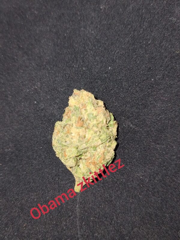 OBAMA ZKITTLEZ