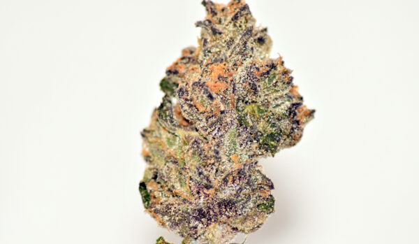 ORANGE CREAM SHERBET