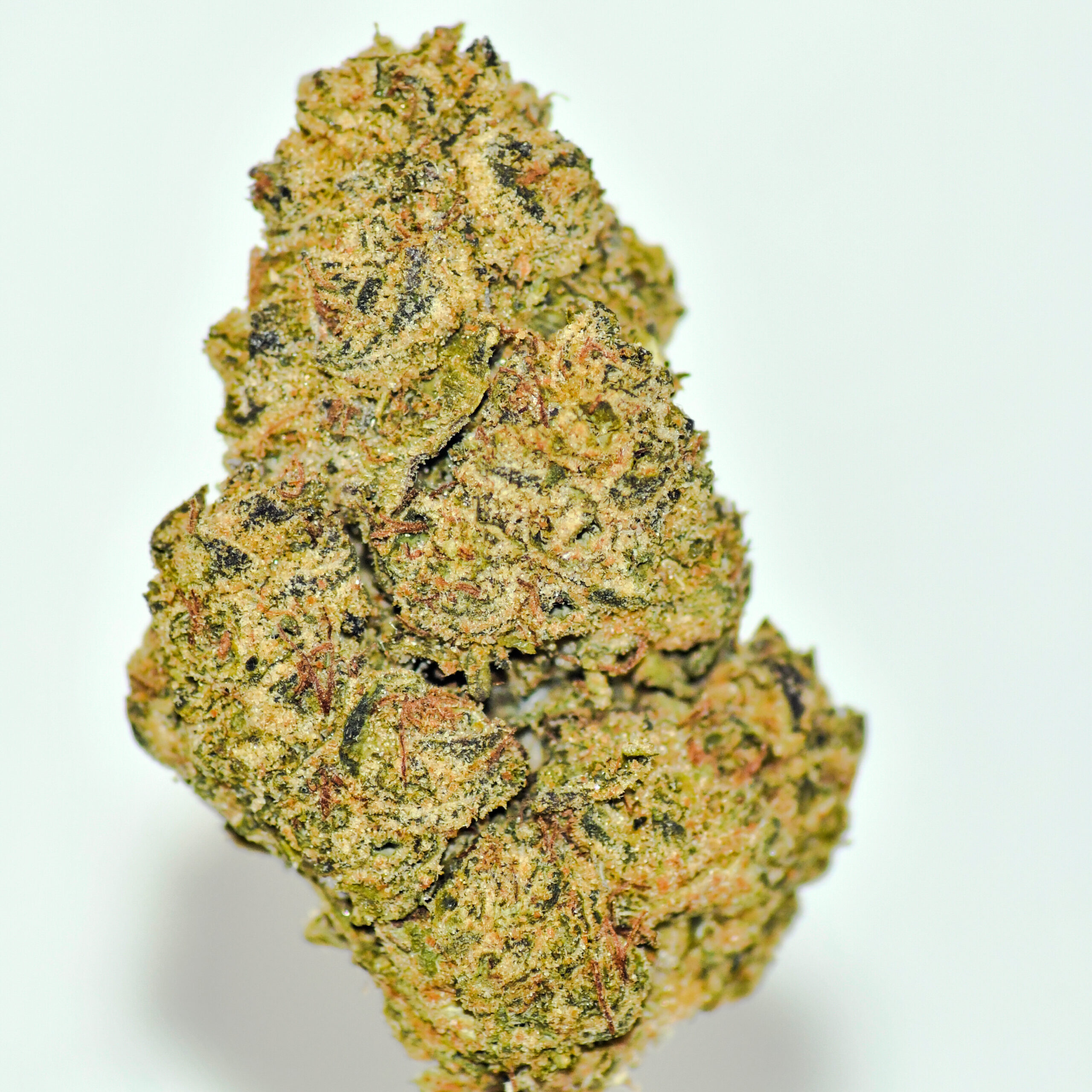 STRAWBERRY CHERRY GELATO