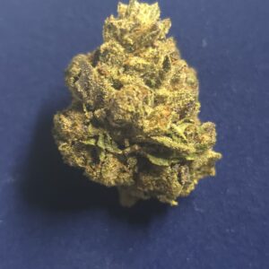 BACIO GELATO