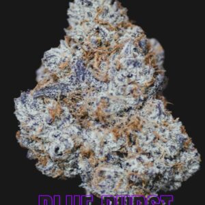 BLUE BURST