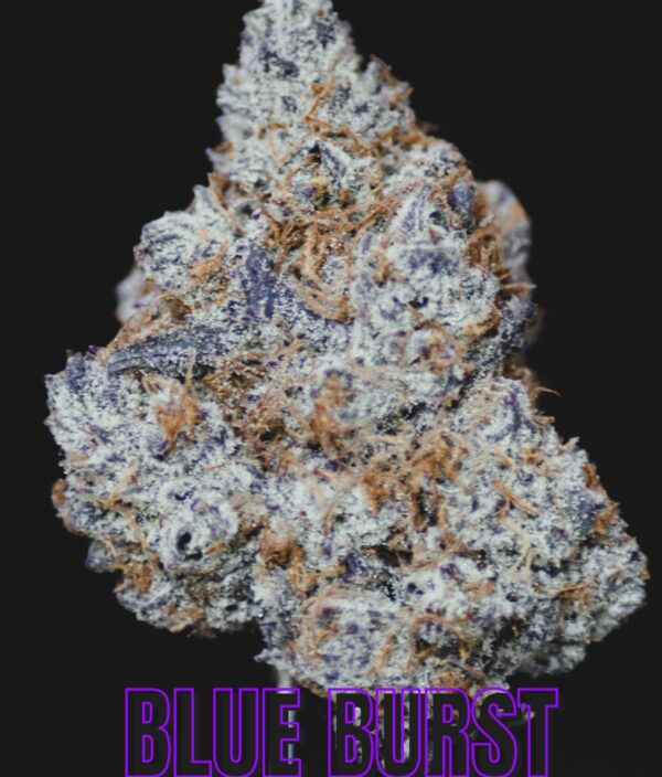 BLUE BURST