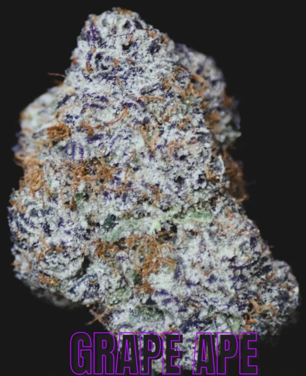 GRAPE APE