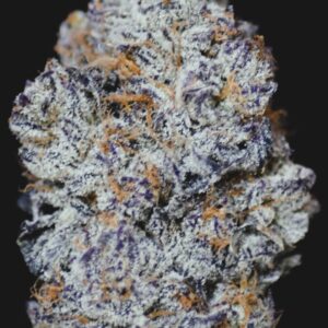 MONKEY MINTS
