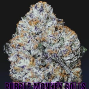 PURPLE MONKEY BALLS