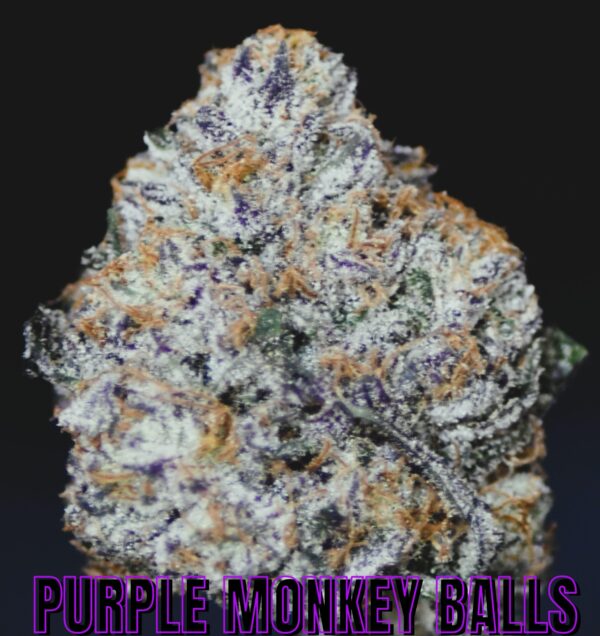 PURPLE MONKEY BALLS