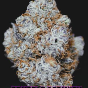 TRUFFLE MONKEY