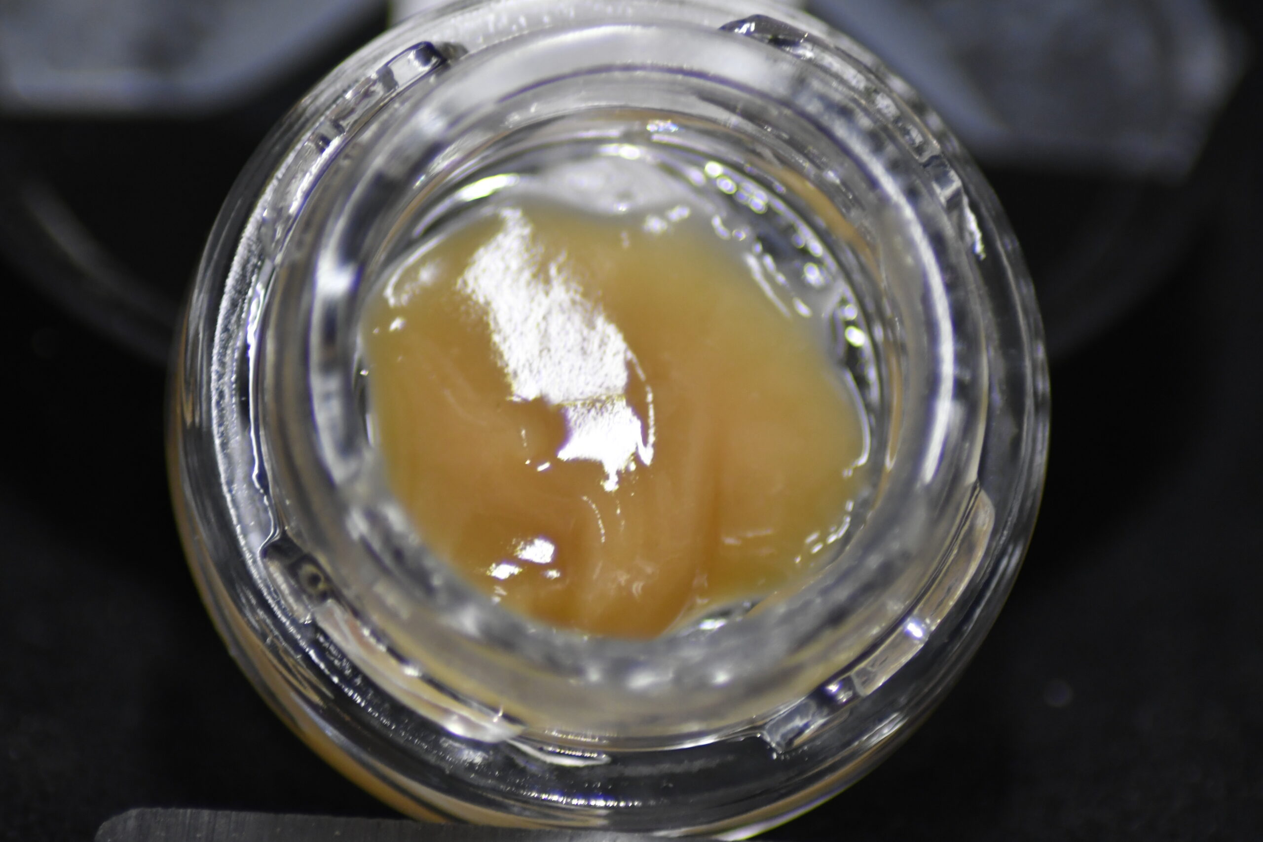 SWAMPWATER FACE X TROPICANA COOKIES (FRESH FROZEN ROSIN)