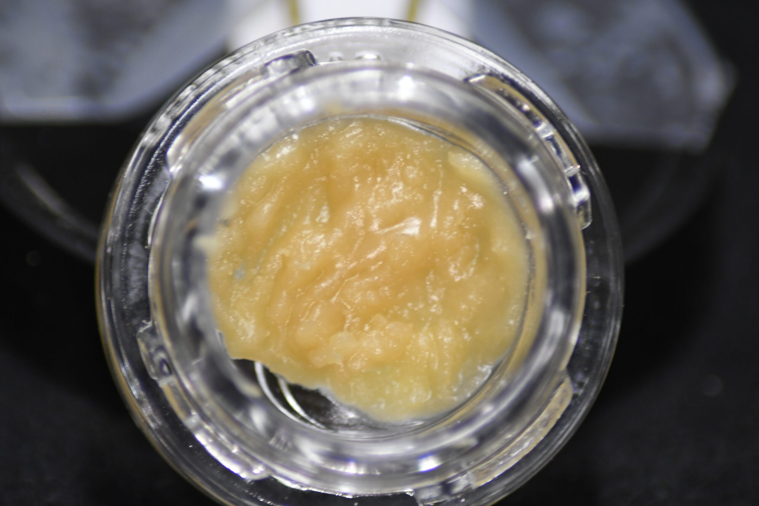 MAPLE ROOT (FRESH FROZEN ROSIN)