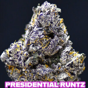 PRESIDENTIAL RUNTZ